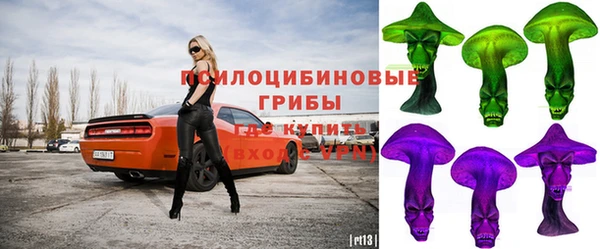 твердый Приозерск