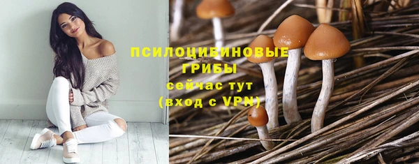 твердый Приозерск