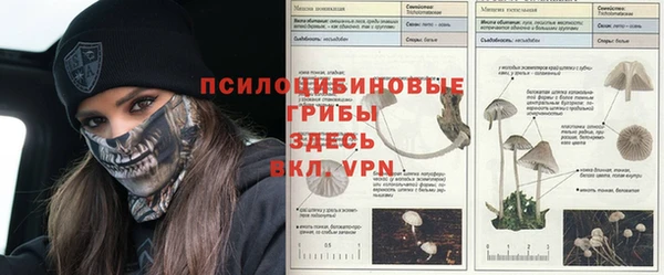 твердый Приозерск