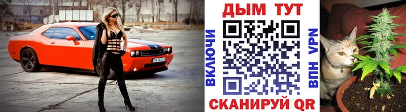 Купить закладки  Краснослободск  Шишки марихуана семена 
